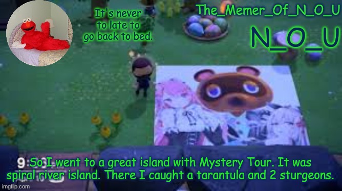 N_O_U | So I went to a great island with Mystery Tour. It was spiral river island. There I caught a tarantula and 2 sturgeons. | image tagged in n_o_u | made w/ Imgflip meme maker
