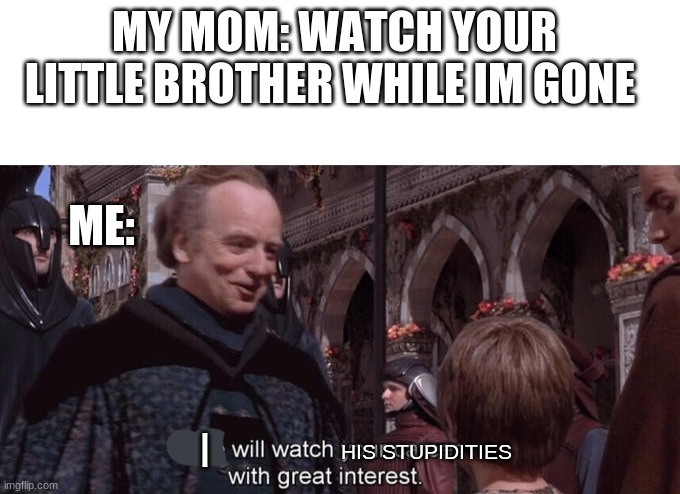 kids are fricking stupid | MY MOM: WATCH YOUR LITTLE BROTHER WHILE IM GONE; ME:; I; HIS STUPIDITIES | image tagged in we will watch your career with great interest | made w/ Imgflip meme maker
