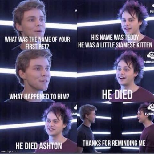 5sos face to face lol | image tagged in 5sos | made w/ Imgflip meme maker