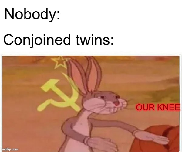 : | Nobody:; Conjoined twins:; OUR KNEE | image tagged in communist bugs bunny | made w/ Imgflip meme maker