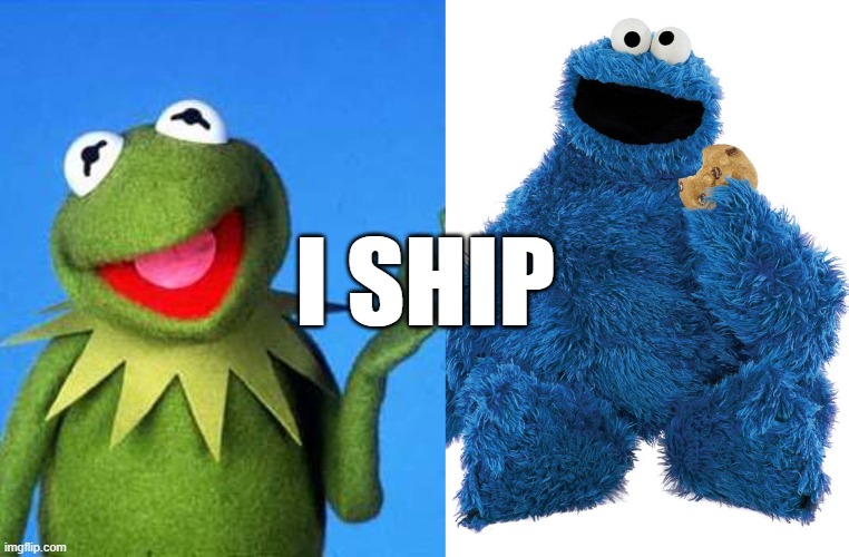 I SHIP | image tagged in kermit the frog meme | made w/ Imgflip meme maker