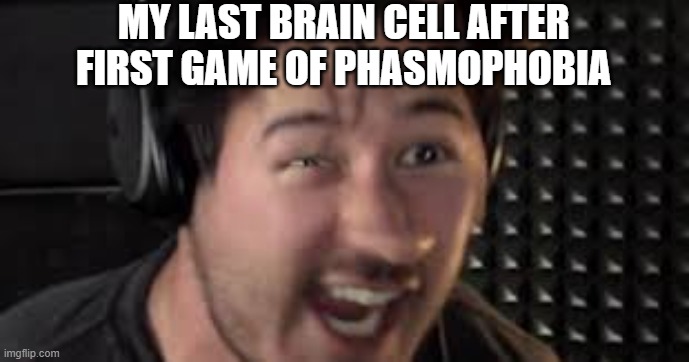 MY LAST BRAIN CELL AFTER FIRST GAME OF PHASMOPHOBIA | image tagged in markiplier | made w/ Imgflip meme maker