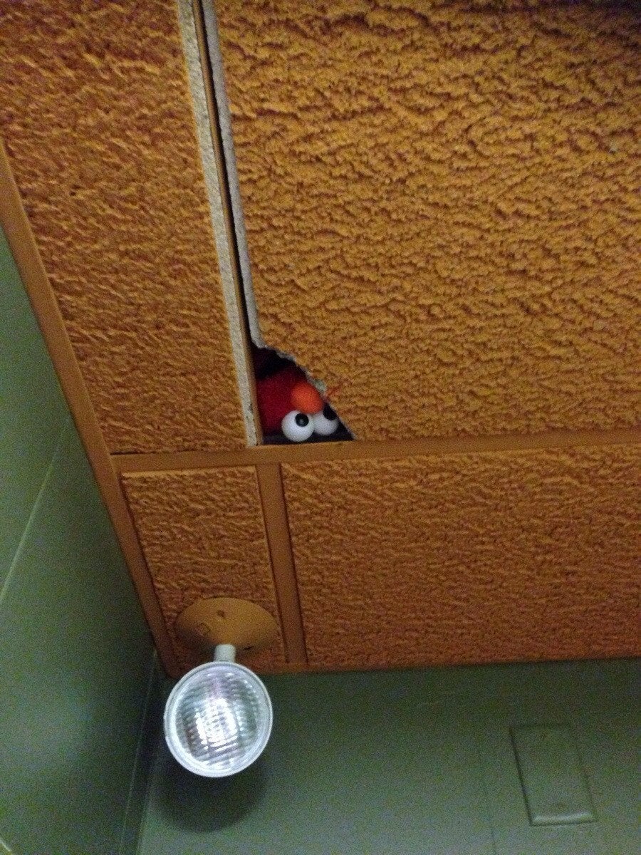 Elmo Hiding Blank Meme Template
