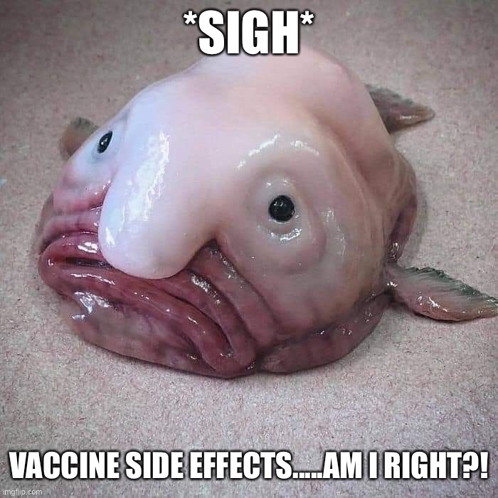 image tagged in memes,funny memes,vaccines,covid-19,trending | made w/ Imgflip meme maker