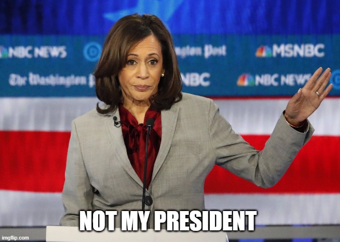 not my president | NOT MY PRESIDENT | image tagged in kamala harris,joe biden | made w/ Imgflip meme maker