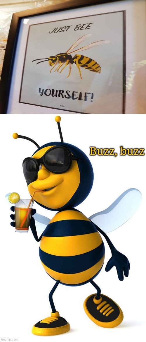 Weird sign: Hmm, Just bee yourself! | Buzz, buzz | image tagged in bee cool,bee,you had one job,memes,funny signs,meme | made w/ Imgflip meme maker