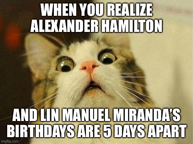 Lol | WHEN YOU REALIZE ALEXANDER HAMILTON; AND LIN MANUEL MIRANDA’S BIRTHDAYS ARE 5 DAYS APART | image tagged in memes,scared cat,funny,lin manuel miranda,hamilton,happy birthday | made w/ Imgflip meme maker
