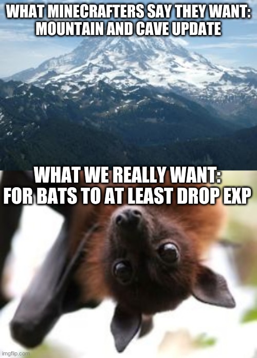 WHAT MINECRAFTERS SAY THEY WANT:
MOUNTAIN AND CAVE UPDATE; WHAT WE REALLY WANT:
FOR BATS TO AT LEAST DROP EXP | image tagged in mountain,bat birthday | made w/ Imgflip meme maker
