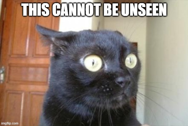 Cannot Be Unseen Cat | THIS CANNOT BE UNSEEN | image tagged in cannot be unseen cat | made w/ Imgflip meme maker