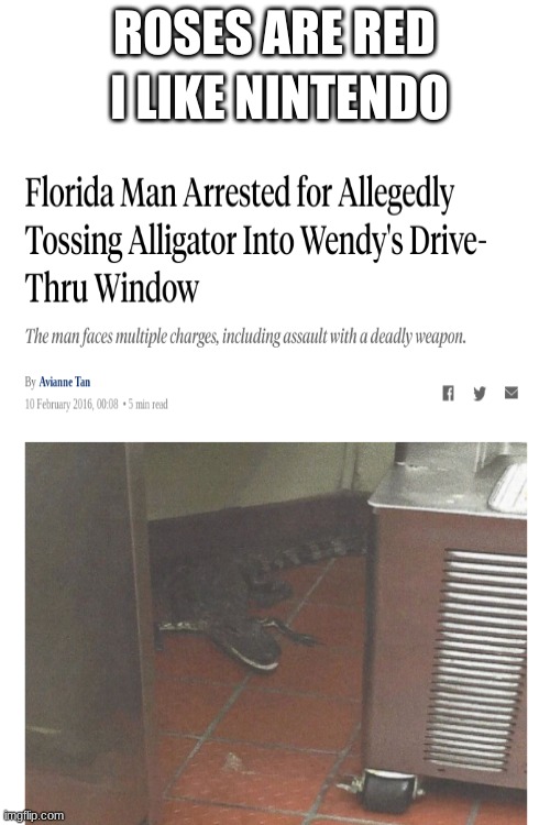 florida man | ROSES ARE RED; I LIKE NINTENDO | image tagged in blank white template | made w/ Imgflip meme maker