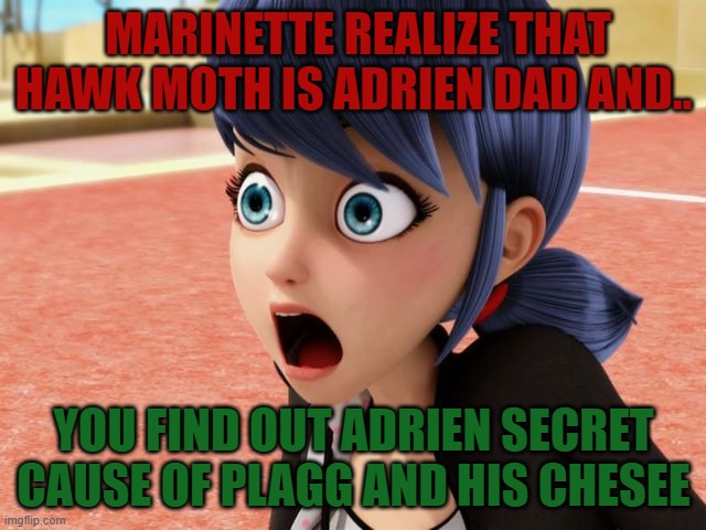 Miraculous Marinette Scared | MARINETTE REALIZE THAT HAWK MOTH IS ADRIEN DAD AND.. YOU FIND OUT ADRIEN SECRET CAUSE OF PLAGG AND HIS CHESEE | image tagged in miraculous marinette scared | made w/ Imgflip meme maker