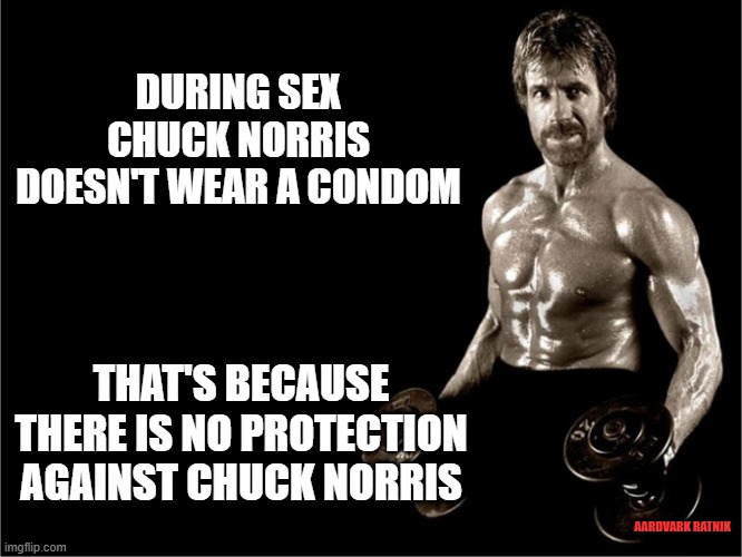 Chuck Norris does it | DURING SEX CHUCK NORRIS DOESN'T WEAR A CONDOM; THAT'S BECAUSE THERE IS NO PROTECTION AGAINST CHUCK NORRIS; AARDVARK RATNIK | image tagged in chuck norris,condom,sex,funny memes,martial arts | made w/ Imgflip meme maker