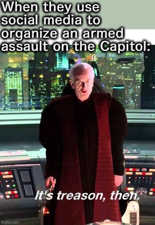 I don’t think the Founders intended this when they wrote 1A | When they use social media to organize an armed assault on the Capitol: | image tagged in its treason then | made w/ Imgflip meme maker