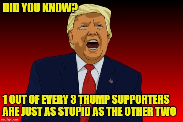1 out of 3 are just as Stupid. | DID YOU KNOW? 1 OUT OF EVERY 3 TRUMP SUPPORTERS ARE JUST AS STUPID AS THE OTHER TWO | image tagged in trump,supporter,stupid,maga | made w/ Imgflip meme maker