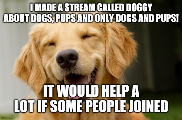 https://imgflip.com/i/4twj63 | I MADE A STREAM CALLED DOGGY ABOUT DOGS, PUPS AND ONLY DOGS AND PUPS! IT WOULD HELP A LOT IF SOME PEOPLE JOINED | image tagged in happy dog,dog,dogs,doggy,stream | made w/ Imgflip meme maker