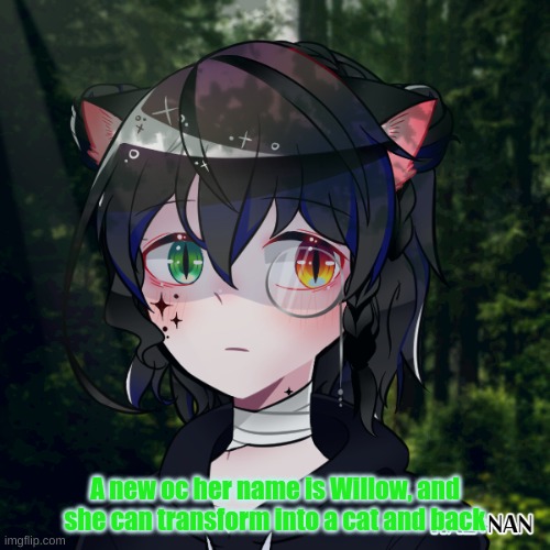 uwu | A new oc her name is Willow, and she can transform into a cat and back | made w/ Imgflip meme maker