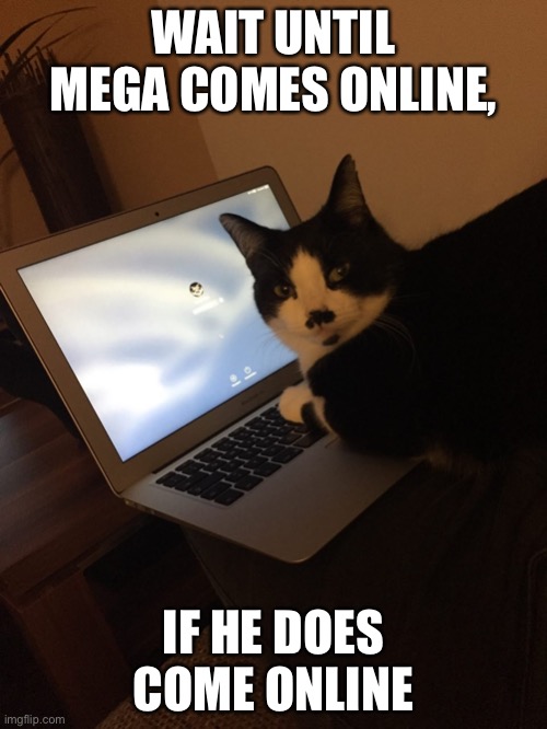 Cat forgot password | WAIT UNTIL MEGA COMES ONLINE, IF HE DOES COME ONLINE | image tagged in cat forgot password | made w/ Imgflip meme maker