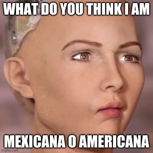 what do you think? | WHAT DO YOU THINK I AM; MEXICANA O AMERICANA | image tagged in ai robot lady weird face | made w/ Imgflip meme maker