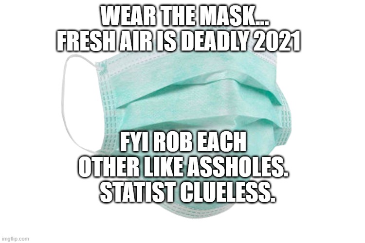 Face mask | WEAR THE MASK... FRESH AIR IS DEADLY 2021; FYI ROB EACH OTHER LIKE ASSHOLES.    STATIST CLUELESS. | image tagged in face mask | made w/ Imgflip meme maker