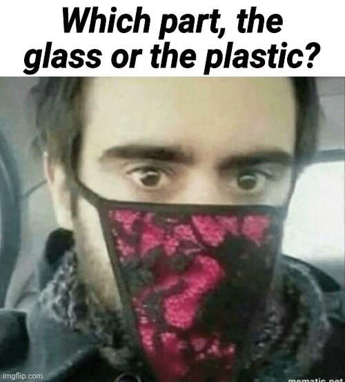 Which part, the glass or the plastic? | made w/ Imgflip meme maker
