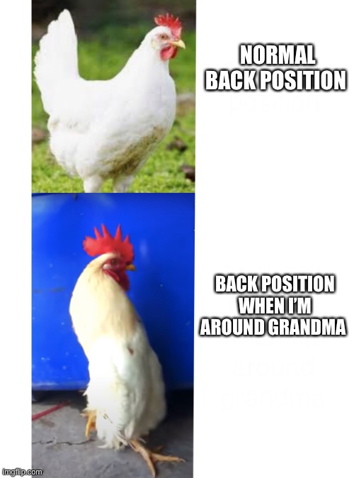 Standing up straight chicken | NORMAL BACK POSITION; BACK POSITION WHEN I’M AROUND GRANDMA | image tagged in standing up straight chicken | made w/ Imgflip meme maker