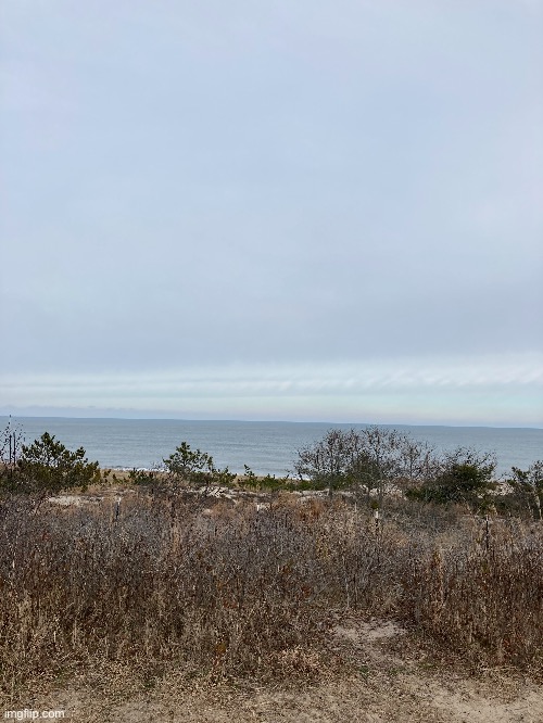 If you want me to quiz you on this I can | image tagged in cape henlopen state park,lewes delaware | made w/ Imgflip meme maker