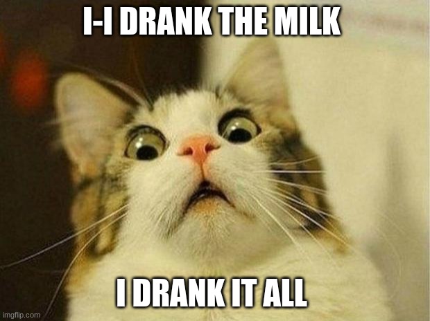 Scared Cat | I-I DRANK THE MILK; I DRANK IT ALL | image tagged in memes,scared cat | made w/ Imgflip meme maker