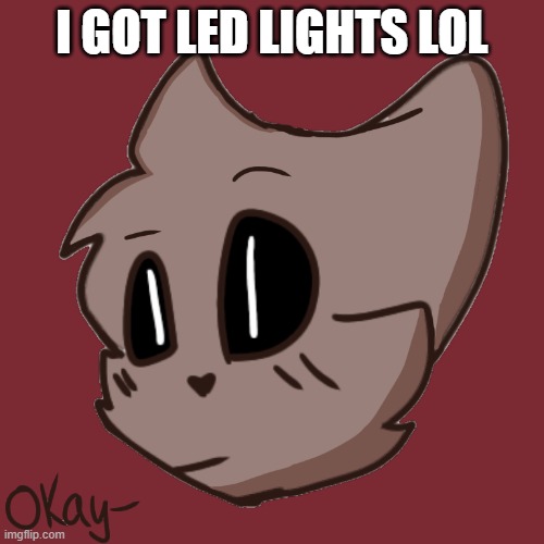 im summoning satan with em | I GOT LED LIGHTS LOL | image tagged in okay- | made w/ Imgflip meme maker