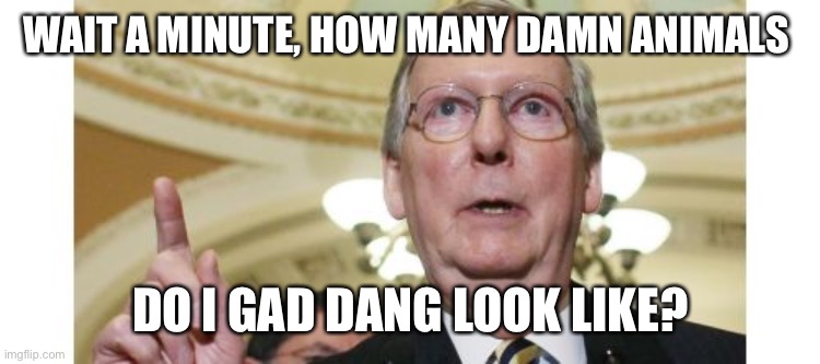 Mitch McConnell Meme | WAIT A MINUTE, HOW MANY DAMN ANIMALS DO I GAD DANG LOOK LIKE? | image tagged in memes,mitch mcconnell | made w/ Imgflip meme maker