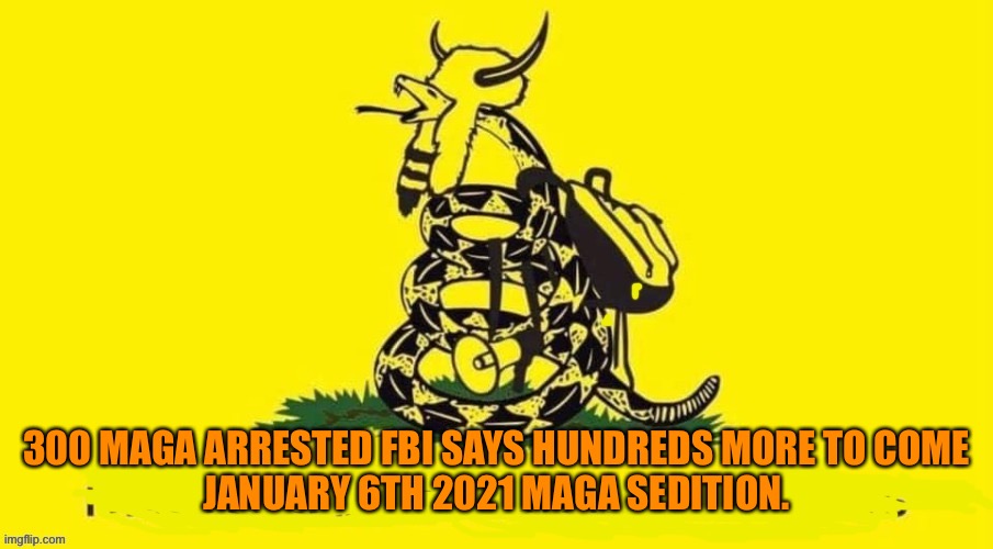 300 MAGA ARRESTED FBI SAYS HUNDREDS MORE TO COME
JANUARY 6TH 2021 MAGA SEDITION. | made w/ Imgflip meme maker