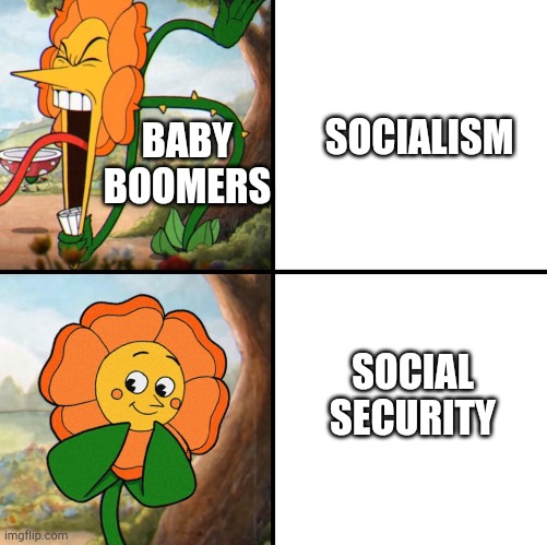 angry flower | SOCIALISM; BABY BOOMERS; SOCIAL SECURITY | image tagged in angry flower | made w/ Imgflip meme maker