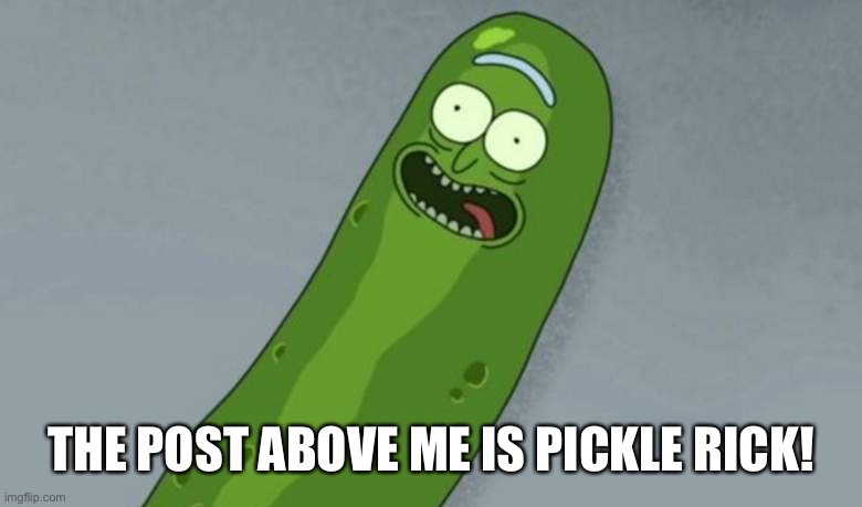 Pickle rick | THE POST ABOVE ME IS PICKLE RICK! | image tagged in pickle rick | made w/ Imgflip meme maker