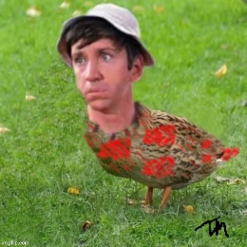 Gilliduck | image tagged in gilliduck | made w/ Imgflip meme maker