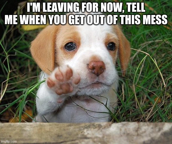 dog puppy bye | I'M LEAVING FOR NOW, TELL ME WHEN YOU GET OUT OF THIS MESS | image tagged in dog puppy bye | made w/ Imgflip meme maker