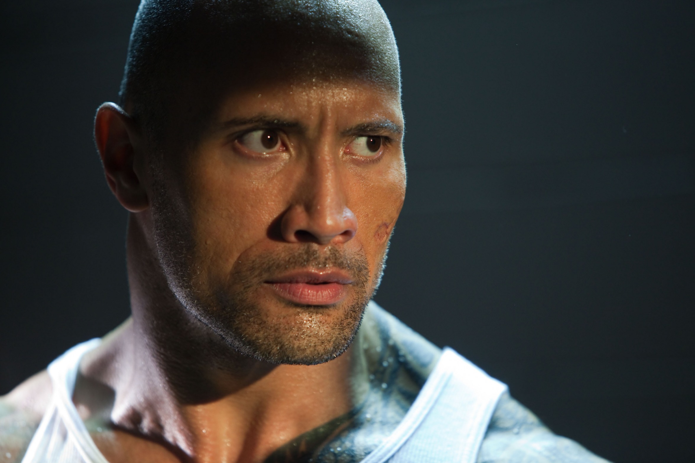 The Rock The Rock Meme Sticker - The Rock The Rock Meme Dwayne Johnson -  Discover & Share GIFs