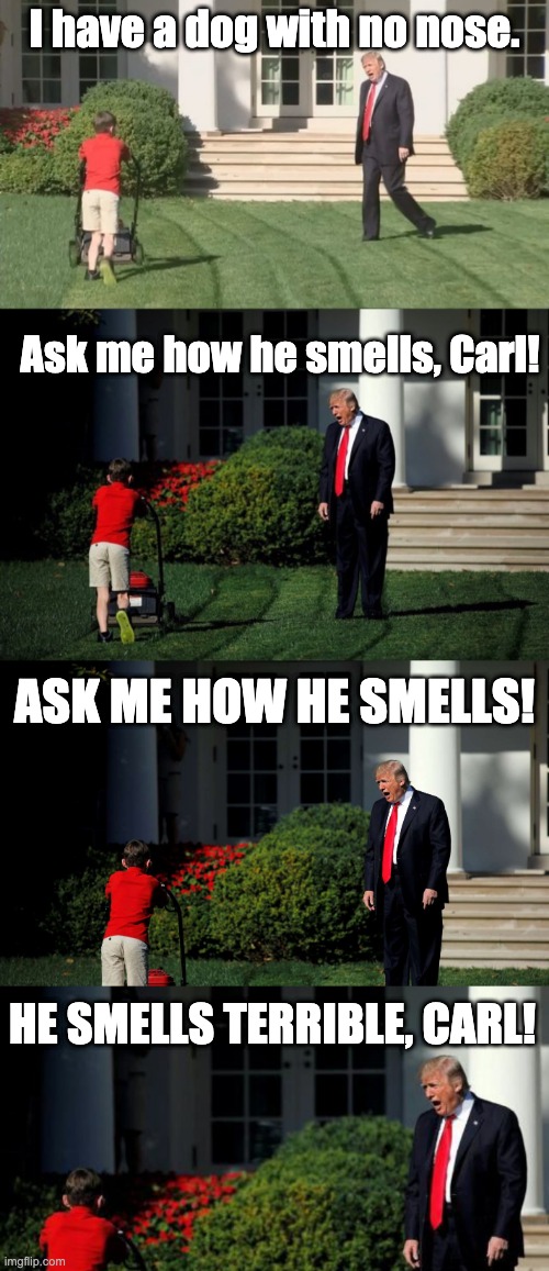 Trump v Carl | I have a dog with no nose. Ask me how he smells, Carl! ASK ME HOW HE SMELLS! HE SMELLS TERRIBLE, CARL! | image tagged in trump lawnmower kid,trump lawn mower,angry trump lawn | made w/ Imgflip meme maker