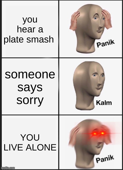 Panik Kalm Panik Meme | you hear a plate smash; someone says sorry; YOU LIVE ALONE | image tagged in memes,panik kalm panik | made w/ Imgflip meme maker