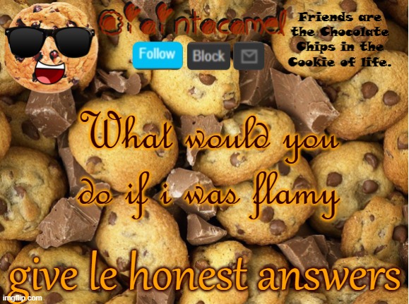 iaintacamel | What would you do if i was flamy; give le honest answers | image tagged in iaintacamel | made w/ Imgflip meme maker