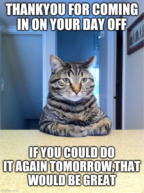 Take A Seat Cat | THANKYOU FOR COMING IN ON YOUR DAY OFF; IF YOU COULD DO IT AGAIN TOMORROW,THAT WOULD BE GREAT | image tagged in memes,take a seat cat | made w/ Imgflip meme maker