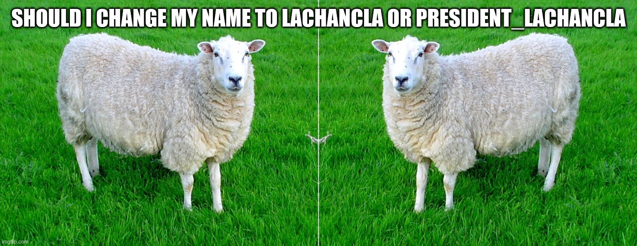 what should i change my name to | SHOULD I CHANGE MY NAME TO LACHANCLA OR PRESIDENT_LACHANCLA | image tagged in two sided sheep | made w/ Imgflip meme maker