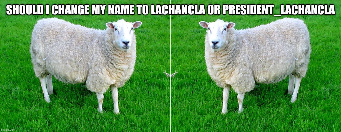 what should i change my name to | SHOULD I CHANGE MY NAME TO LACHANCLA OR PRESIDENT_LACHANCLA | image tagged in two sided sheep | made w/ Imgflip meme maker