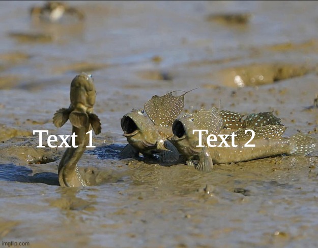 Link In Comments | Text 2; Text 1 | image tagged in pog mudskippers | made w/ Imgflip meme maker