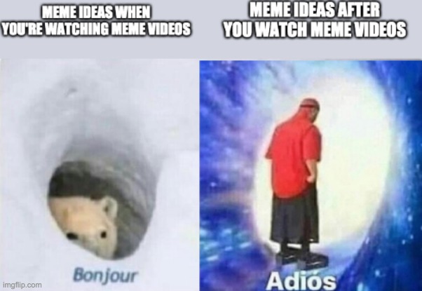 image tagged in bonjour,adios | made w/ Imgflip meme maker