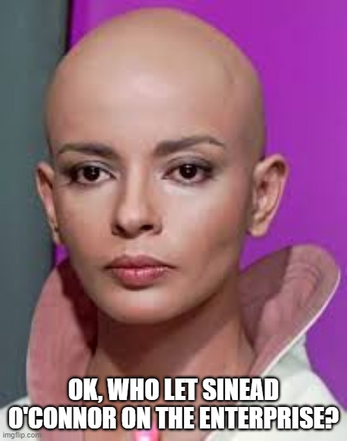 Nothing Compares 2 U | OK, WHO LET SINEAD O'CONNOR ON THE ENTERPRISE? | image tagged in star trek ilia | made w/ Imgflip meme maker