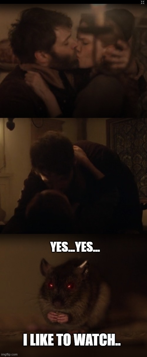 Scary Rat | YES...YES... I LIKE TO WATCH.. | image tagged in scary,rat,salem,horror,kissing,creepy | made w/ Imgflip meme maker