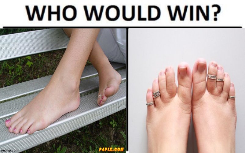 Who Would Win? | image tagged in funny | made w/ Imgflip meme maker