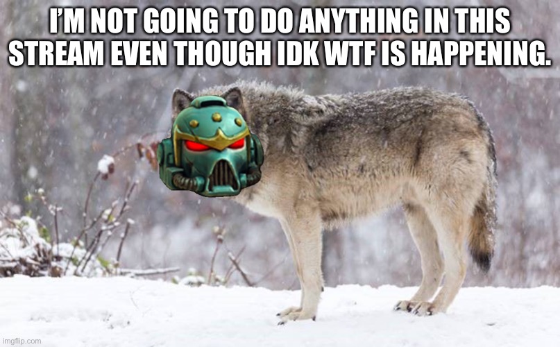 I’ll heed your warnings. | I’M NOT GOING TO DO ANYTHING IN THIS STREAM EVEN THOUGH IDK WTF IS HAPPENING. | image tagged in space wolf | made w/ Imgflip meme maker