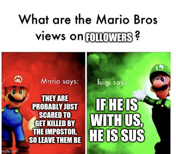 Mario Bros Views |  FOLLOWERS; THEY ARE PROBABLY JUST SCARED TO GET KILLED BY THE IMPOSTOR, SO LEAVE THEM BE; IF HE IS WITH US, HE IS SUS | image tagged in mario bros views | made w/ Imgflip meme maker