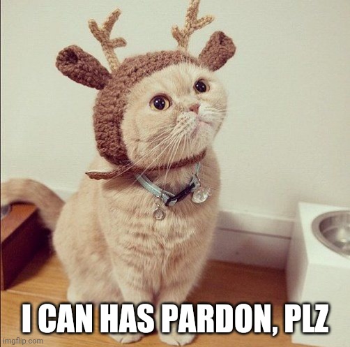 I CAN HAS PARDON, PLZ | image tagged in memes | made w/ Imgflip meme maker