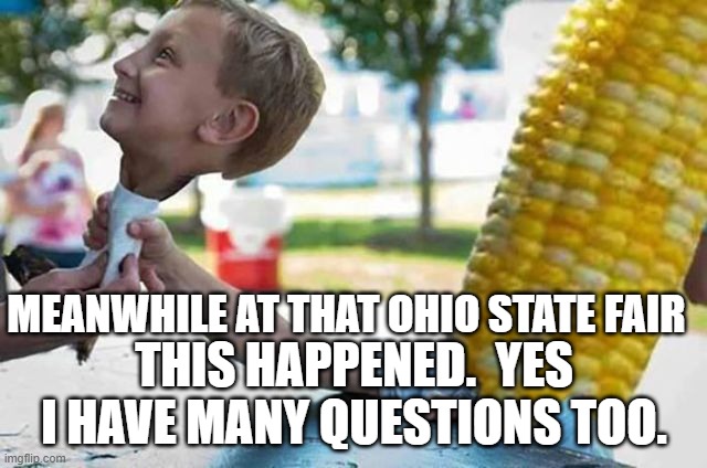 Corn head | MEANWHILE AT THAT OHIO STATE FAIR; THIS HAPPENED.  YES I HAVE MANY QUESTIONS TOO. | image tagged in funny | made w/ Imgflip meme maker